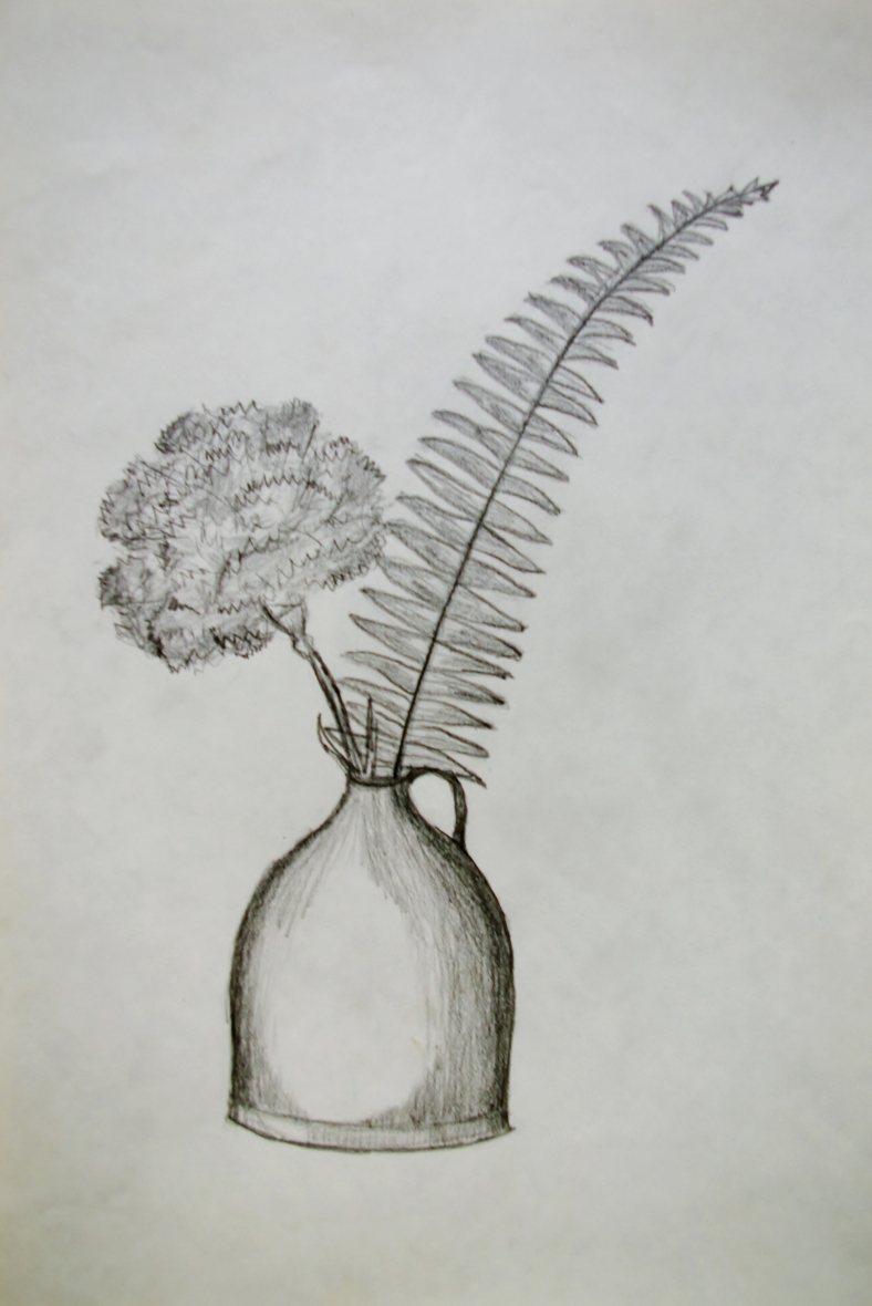 Carnation (Pencil Sketch)